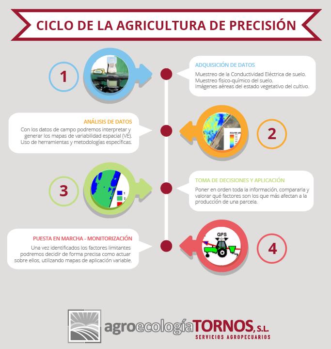 Ciclo de la agricultura de precisión. Infografía